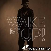 Avicii feat. Aloe Blacc - Wake Me Up (Radio Edit)