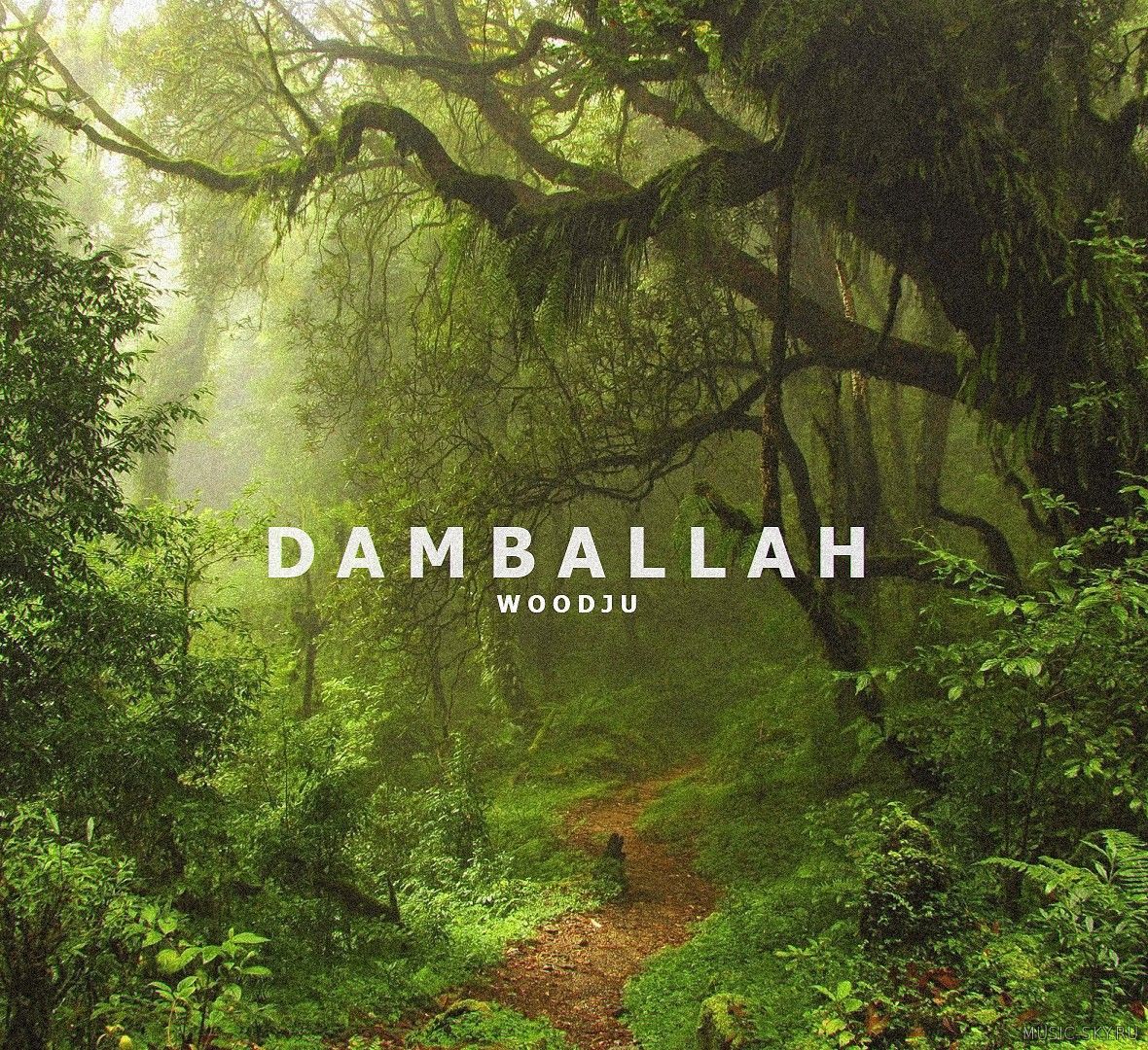 WOODJU - Damballah